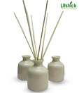 Litstick Reed Diffuser Elegant Pot Set