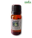 Litstick Ylang-ylang Essential Oil- 10ml