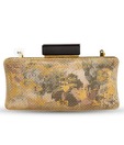 Cappucino Golden Mesh Design Clutch