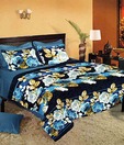 Birla Century Multi-colour Floral Double Bed Sheet & 2 Pillow Covers