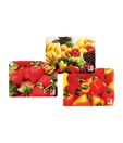 Bergner Rectangular Glass Single Cutting Board