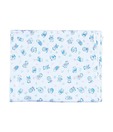 Advance Baby White &  Blue Spongy Plastic Sheet - Small