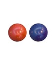 Fitness World  Gym Bal  (65 Cm)