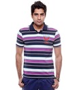 Tiger of Goa Purple-Navy Polo T Shirt