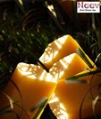 Neev Herbal Soap - Lemongrass- Earthy and Fresh 75gm (Set of 4)