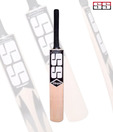 SS Ranger Kashmir Willow Cricket Bat