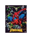 Spider-man (15.7 x 19.6 Inches)
