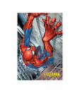 Spider-man (Climbing) (24 x 36 Inches)