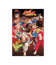 Street Fighter (Anime) (24 x 36 Inches)