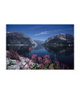 Artjini Serene Landscape Painting