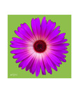 Artjini Purple On Green Painting
