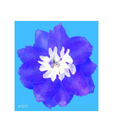 Artjini Rose Flower Close-up Painting