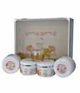 Davis Insta Glow Advance Therapy Kit 1050 g