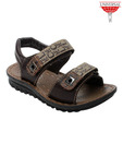Universal Trendy Brown Kids