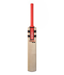 Gray Nicolls Kaboom GN4 Adult SH  English Willow Cricket Bat