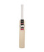 GM Flare Maestro Kashmir Willow Cricket Bat