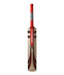 Gray Nicolls Quantum Smasher Kashmir Willow Cricket Bat