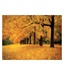 Gold of Autumn West by M. Ellen Cocose ( 13 x 17 Inches)