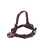 Coleman 3Aaa Exponent Headlamp