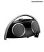 Harman Kardon Go Play ll