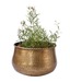 Live n Style Eye-catching & Creative Antique Finish Large Planter