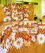 Saaz Dekor Appealing Double Bed Sheet With 2 Pillow Covers