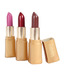 Colorlife Kit 25 (3 Lipsticks)
