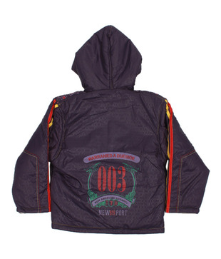 Fort Collins Purple Hoodie Jacket