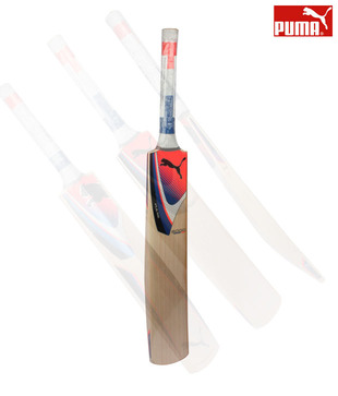 Puma Pulse 5000 English Willow Cricket Bat (Size 7)