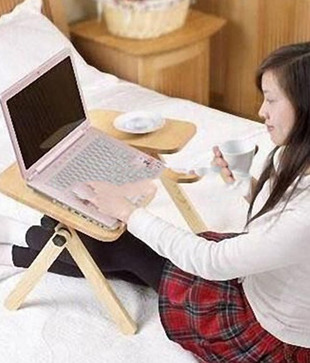 Portable Multi-function / Laptop Table