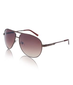 Color Line Shimmering Brown Aviator