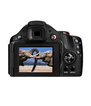 Canon Power Shot SX40 12MP Semi-SLR (Black)(with 4 GB SD Card + Carry Case)