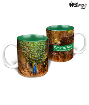HotMuggs- Wild Focus - Ravishing Beauty
