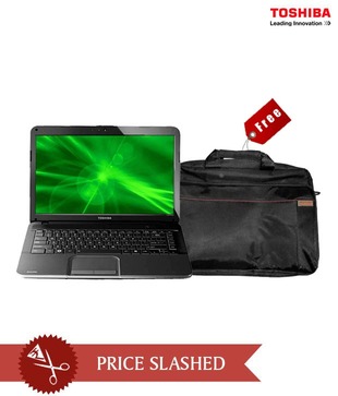 Toshiba C850D M5010 Laptop (APU Dual Core/ 2GB/ 320GB/ DOS)