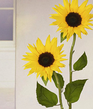 Plage Sunflower Wall Sticker