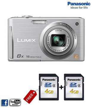 Panasonic Lumix DMC FH25 16.1 MP Point & Shoot Digital Camera (Silver)