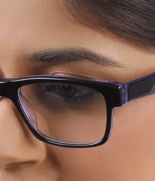 SD  Black & Purple Eyewear