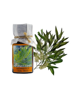 Soulflower  Tea Tree Essential Oil