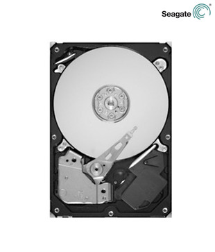 Seagate Momentus (ST9320325AS) Internal Hard Drive (320GB)