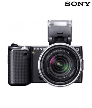 Sony NEX5K 14.2 MP SLR Digital Camera (Black)