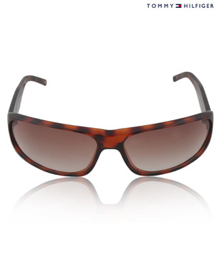 TH Glorious Shades