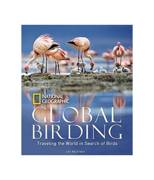 Global Birding : Traveling The World In Search Of Birds
