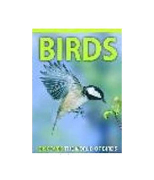 The World Of Birds