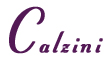 Calzini